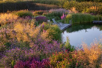 Lincolnshire Swimming Pond and Surrounding garden designed by The Swimming Pond Co 