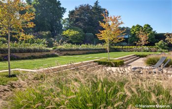 Pennisetum grasses and Amelanchiers contained in box 'tables' define the terrace and lawn in this Surrey country garden 
