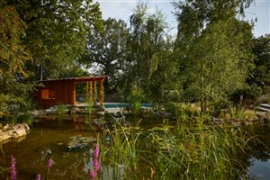 Matthew Childs - Heathside pool garden - Image Alister Thorpe