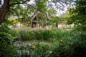 Miria Harris MSGLD - Modern Crafted Garden. Photograph © Rachel Warne