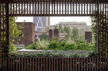 Rooftop garden in Madrid, Spain