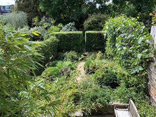 Walled garden Hammersmith summer view with structural and informal planting