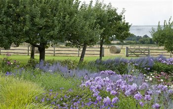 Surrey Serene - winner of the SGD Large Residential Garden Award 2017