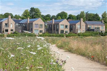 Lovedon Fields arable reversion + community park project