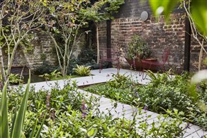 Adolfo Harrison MSGD - Shepherd's Bush Courtyard - Photo Mischa Haller