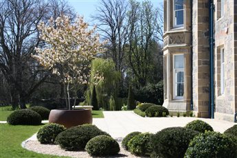 Formal garden near Evanton in the Highlands  overlooking the Cromarty Firth and the Black Isle. Clipped evergreen domes and a pale stone terrace set off the house, with a multi-stem amelanchier in spring blossom as the focal point.