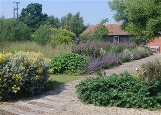 robust planting in the rural barn borders
