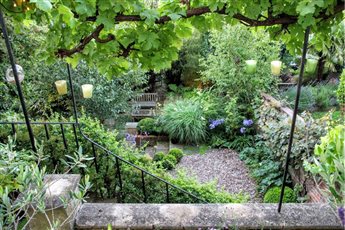 Karena's garden in Kingsdown, Bristol