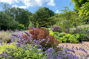 Garden design for country living, textural planting around entertaining terrace