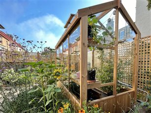 Productive Garden Portobello