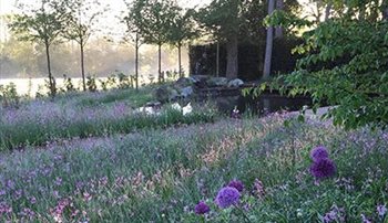 Large country garden - Frieth, Oxfordshire