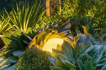 Creative planting and lighting design.