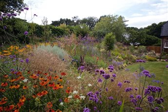 Exuberant planting inspired by a theatre audience.