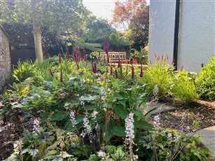 Downs garden Bristol
- Plant tapestry