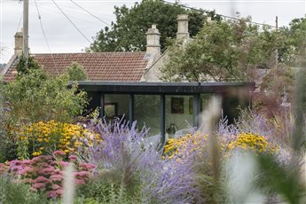 Mixed planting by contemporary yoga room 