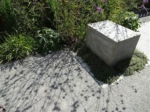 A focal bespoke concrete seat surrounded by thyme catches plant shadows which are reflected onto a neutral grey palette of landscaped surfaces.