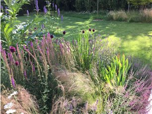 Plants were chosen to create year round interest and movement.  
Images show the garden in it's first summer