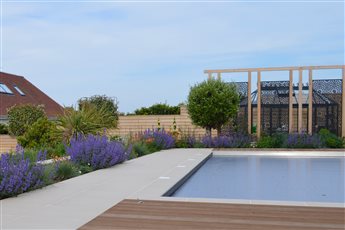 Brighton seafront garden design, screening with decorative screens and pleached trees.