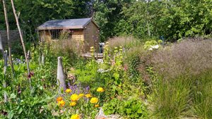 Kristina Clode - Wildlife Friendly Eco House Garden