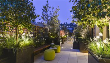 Roof Terrace in Chelsea.