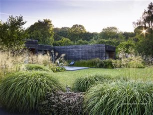 Hampshire Contemporary garden. SGD Winner Medium Garden 2019, SGD Finalist Planting Design 2019