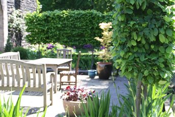 Dining terrace enclosed with pleached trees, underplanted with iris.