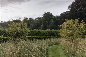 Mown path through meadow and orchard 