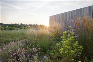 Kristina Clode MSGLD - Countryside Meadow Haven. Photograph © Gardens Illustrated / Annaick Guitteny