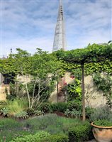 Garden Club London, Principal Designer Tony Woods MSGD - BOROUGH - City Sanctuary