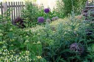 Laura Burt - Bloom and Play Garden