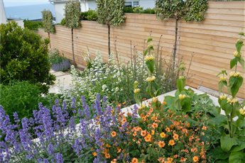 Brighton seafront garden design, terracing for a sloping garden.