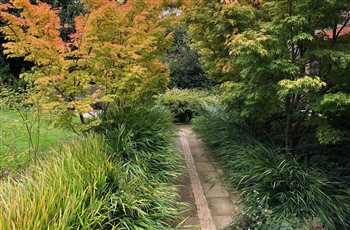 Contemporary Garden Surrey