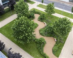 Bowles & Wyer; Principal Designer John Wyer FSGD - Addenbrookes Hospital NHS 70 Garden - Photo Richard Bloom