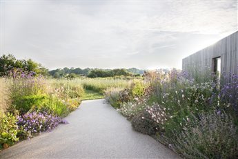 A wildlife friendly meadow garden for an ultra-modern cedar clad house near Rye in East Sussex. This garden has been shortlisted for the SGLD 'Design for the Environment' Award 2026. Photo Credit: Annaick Guitteny
