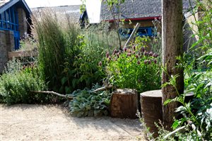 Laura Burt - EYFS Garden St Francis School