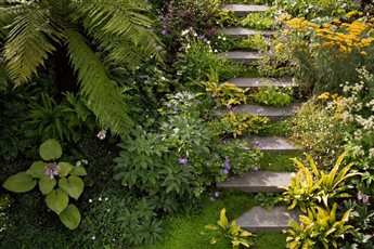 Beautiful, green outdoor steps in a garden in south London, by designers Bulb + Branch