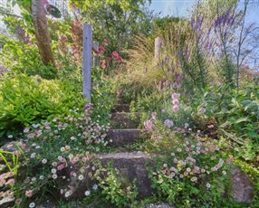 Sussex and Surrey Gardens