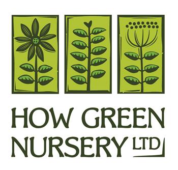 How Green Nursery Ltd